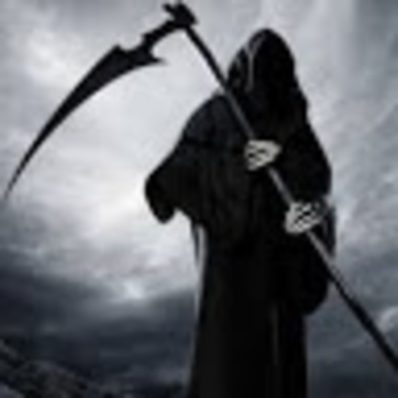 Meet your Posher, Christopher - Picture 1 of 1